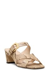 スチュアート ワイツマン レディース シューズ ヒール Stuart Weitzman Sai Slide 50 Women ADOBE