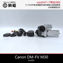 Victor ビクター GR-DVF10 miniDVビデオカメラ 整備済み miniDVテープ