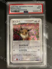 ポケモンカード 2007年 イーブイ 063/DP-P とりかえっこDP引換カード