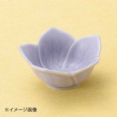 【新品】紫桔梗珍味