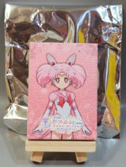 A3 Theatrical Version Pretty Guardian Sailor Moon Cosmos HANA・BIYORI ~Blooming Flowers and Warriors~ Canvas Art Mini Eternal Sailor Chibi Moon