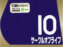 【中古】雑貨 10.サークルオブライフ(第73回阪神ジュベナイルフィリーズ) 出走馬ミニゼッケン