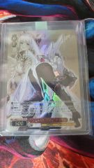麗しの剣士