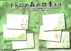 Ghibli Museum Postcards (6 cards) - The Four Seasons of Totoro's Forest: Spring & Summer - My Neighbor Totoro
