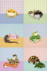 【中古】ノート・メモ帳 全6種セット メモパッド 「一番くじ 爬虫類＆両生類～Tiny Friends～vol.3」 J賞