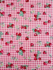 yuwa 松山敦子30‘s生地100cmX110cm