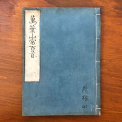 温病条弁解説 上巻＋下巻 ＆ 温熱経緯解説 ３冊セット 金子幸夫著 たにぐち書店 温病条弁解説 上下巻揃い 金子幸夫 著 2008 たにぐち書店 定価15000円