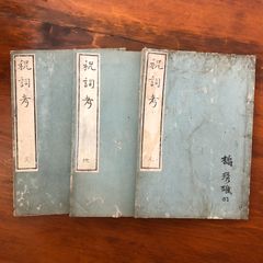 温病条弁解説 上下巻揃い 金子幸夫 著 2008 たにぐち書店 定価15000円