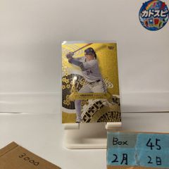 2024 Epoch イクイノックス Equinox 1/5 競馬 GEM Limited Edition