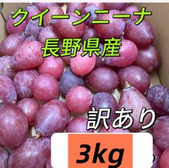 マツモト商店『年中無休』 - メルカリShops