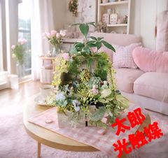 光触媒 観葉植物 ウォールグリーン フェイクグリーン ユッカ