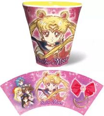 [Used] Mug/Teacup (Character) 04. Sailor Moon Melamine Cup "Pretty Guardian Sailor Moon"