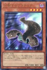 中古】ぬいぐるみ ソールオリエンス(第83回 皐月賞) ふわふわBIG