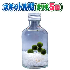 【スキットル瓶(まりも5個)】マリモ スキットルボトル 5個 水中インテリア 雑貨 置き物 観賞用 室内 グリーン 水槽 植物