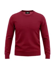 アルファス テューディオ メンズ トップス シャツ プルオーバー ALPHA STUDIO Bordeaux