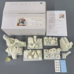 中古】タペストリー 常盤華乃 B2タペストリー 「ハミダシ