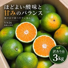 和歌山県産 希少品種♥️紫の梅‼️中玉サイズ 2kg みかんキング 家庭