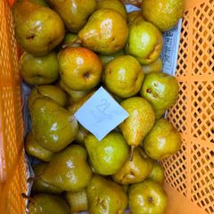 硬い桃 10kg クール便＊送料無料 - メルカリ