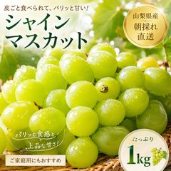 訳あり】シャインマスカット5kg粒売り 山梨県産 - メルカリ