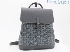 【激レア未使用】ゴヤール　GOYARD　アルパン ミニ バックパック　リュックサック　ハンドバッグ　GRIS グレー　PVC　レザー　ALPIN2MINTY51CL51P