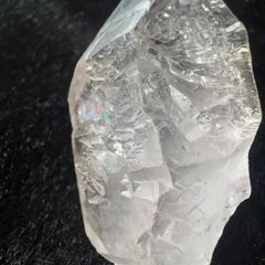 クセの強いゴリラくん𓂃‪𓈒𓏸フォロワー様限定クーポン発行中 - メルカリ‬