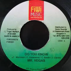7インチ Mr. Vegas Do You Know NONE