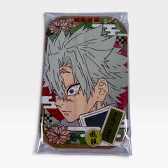 Demon Slayer: Kimetsu no Yaiba Round Can Badge 3 - Sanemi Shinazugawa Can Badge