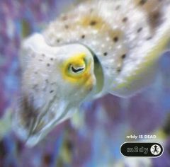 [Used] Doujin Music CD Software m2dy - m1dy IS DEAD / MOB SQUAD TOKYO