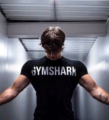 David Laid着用モデル】Gymshark ボックスロゴ TシャツS - メルカリ