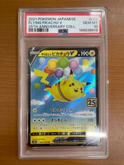未開封 ピカチュウ Pikachu at the Museum ロンドン自然史博物館 PROMO