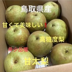 愛媛県産 摘果幸水梨 約9キロ未満 茨城県産 幸水梨 加工用 箱込み4.5~5
