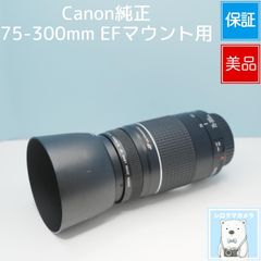 VARI SONY Aマウント用 420-800mm 超望遠レンズ 黒 z0025 - メルカリ