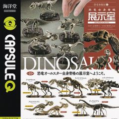 【フルコンプ】 カプセルQ 恐竜発掘記6 恐竜全身骨格展示室 【全10種セット】 海洋堂 CAPSULE Q DINOSAUR SHOWROOM #01 グッズ フィギュア 模型 ガチャガチャ カプセルトイ 即納 在庫品 送料無料 追跡あり
