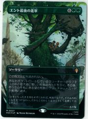 MTG/ドワーフ語/ボーダーレス/秘儀の印鑑/Arcane Signet/ホビット