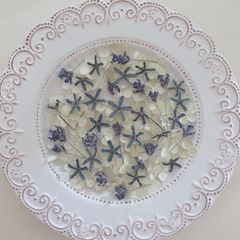 花材✿︎ドライアナベルと青いお花のセット