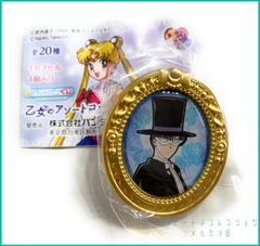 美少女戦士セーラームーン　乙女のアソートコレクション 2 【 C賞 額縁ピンズ : タキシード仮面】(単品)　新品未使用  内袋未開封１個 ピンズ バッジ