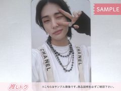 Stray Kids FELIX SKZOO BbokAri ポガリ STICK COVER VER.2 ペンライト