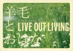 【中古】邦楽DVD 羊毛とおはな / LIVE OUT LIVING