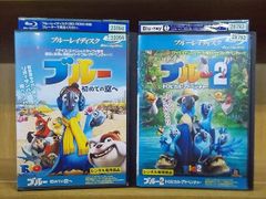 DVD こびと観察入門 全9巻 ※ケース無し発送 レンタル落ち ZEE977