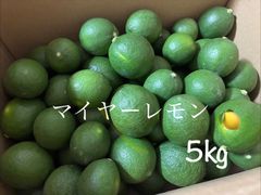 宮崎県産/グリーンマンゴー/青マンゴー/摘果マンゴー 約3.5kg - メルカリ