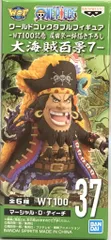 BANDAI SPIRITS ワールドコレクタブルフィギュア WT100記念 尾田栄一郎描き下ろし 大海賊百景7 37ティーチ