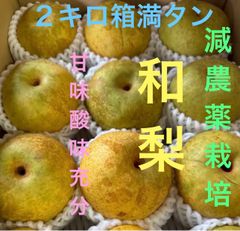 めるこ(プロフ必読) 減農薬栽培ゆーこプロフ必読 - メルカリShops