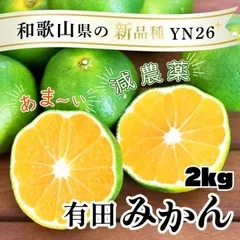 【即納】有田みかん YN26 極早生 ゆら早生 2㎏ ミカン 減農薬 産地直送 和歌山