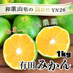 【即納】有田みかん YN26 極早生 ゆら早生 1㎏ ミカン 減農薬 産地直送 和歌山
