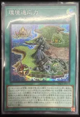 環境適応力 アジア版 SE シークレットレア YAC1-JP016 ORIGINAL ARTWORK COLLECTION 遊戯王OCG