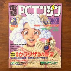 仲根かすみ ボム・トレーディングカード・ブック 完全コンプリート永久