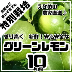 【期間限定】栽培期間中農薬不使用の国産グリーンレモン　10kg箱【農薬不使用の特別栽培基準/愛媛の農家直送/全国追加送料なし】202
