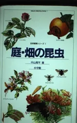 庭・畑の昆虫: 昆虫 1 (自然観察と生態シリーズ 1)