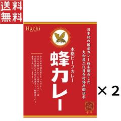 ハチカレー ビーフカレー 中辛 200g × 2個 レトルト 国産牛肉 デミグラスソース 生クリーム使用