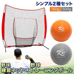 KaRaDaStyle 野球ネット 大型ワイド 3.8×2.4M バッティング 練習